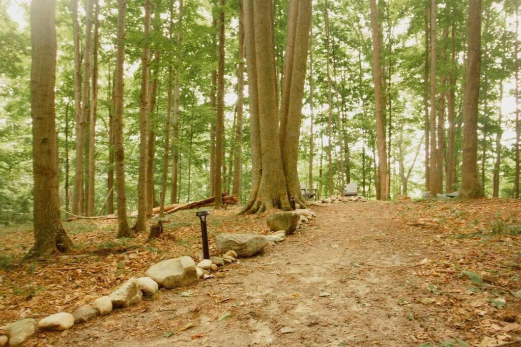 Villa Wilderness Vista Retreat à Reed City Extérieur photo